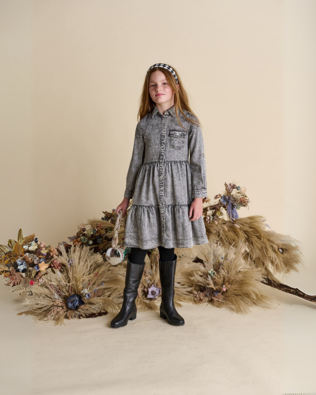 Porter Long Sleeve Collared Button Down Denim Dress 1507
