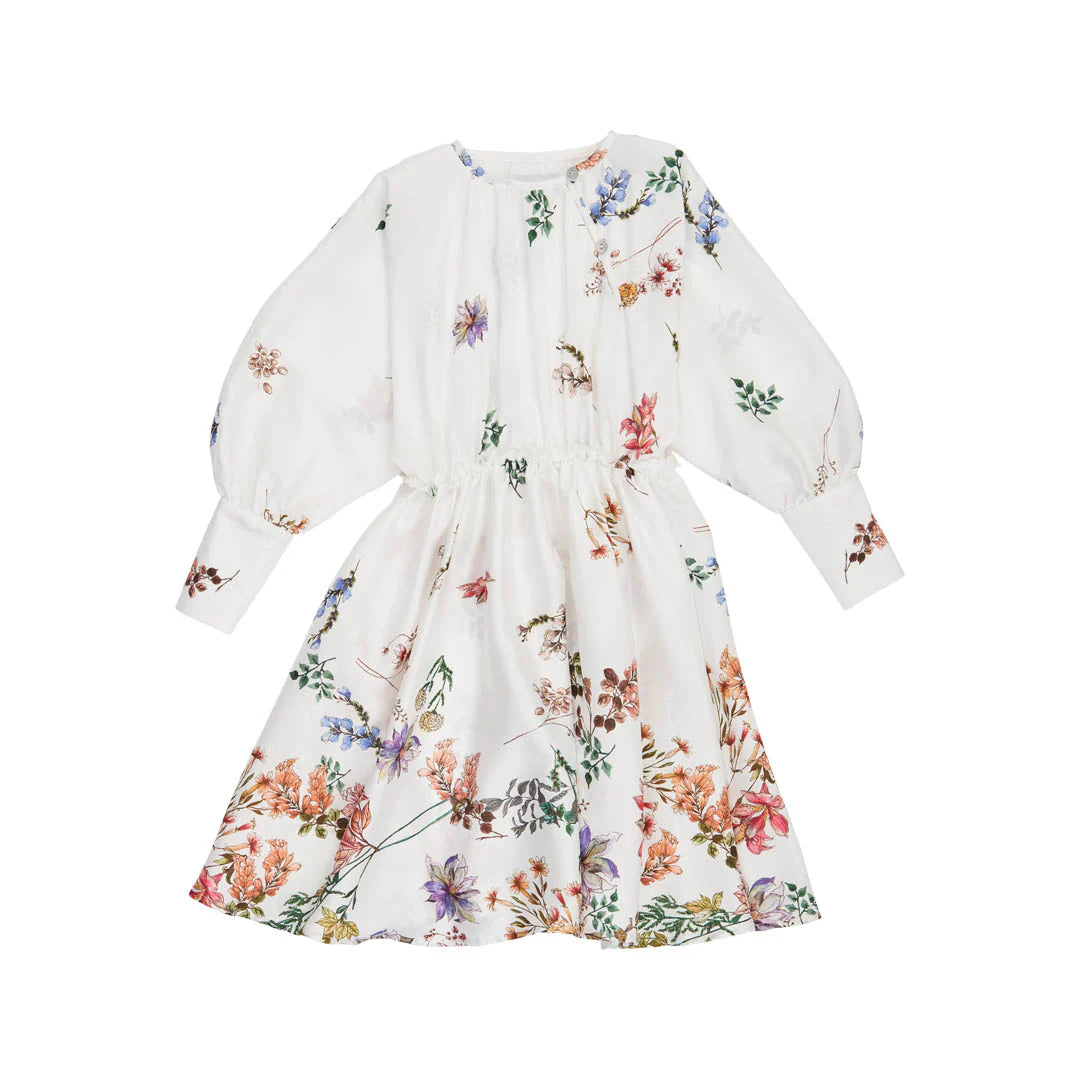 Christina Rohde Synched Waist LS Floral Dress