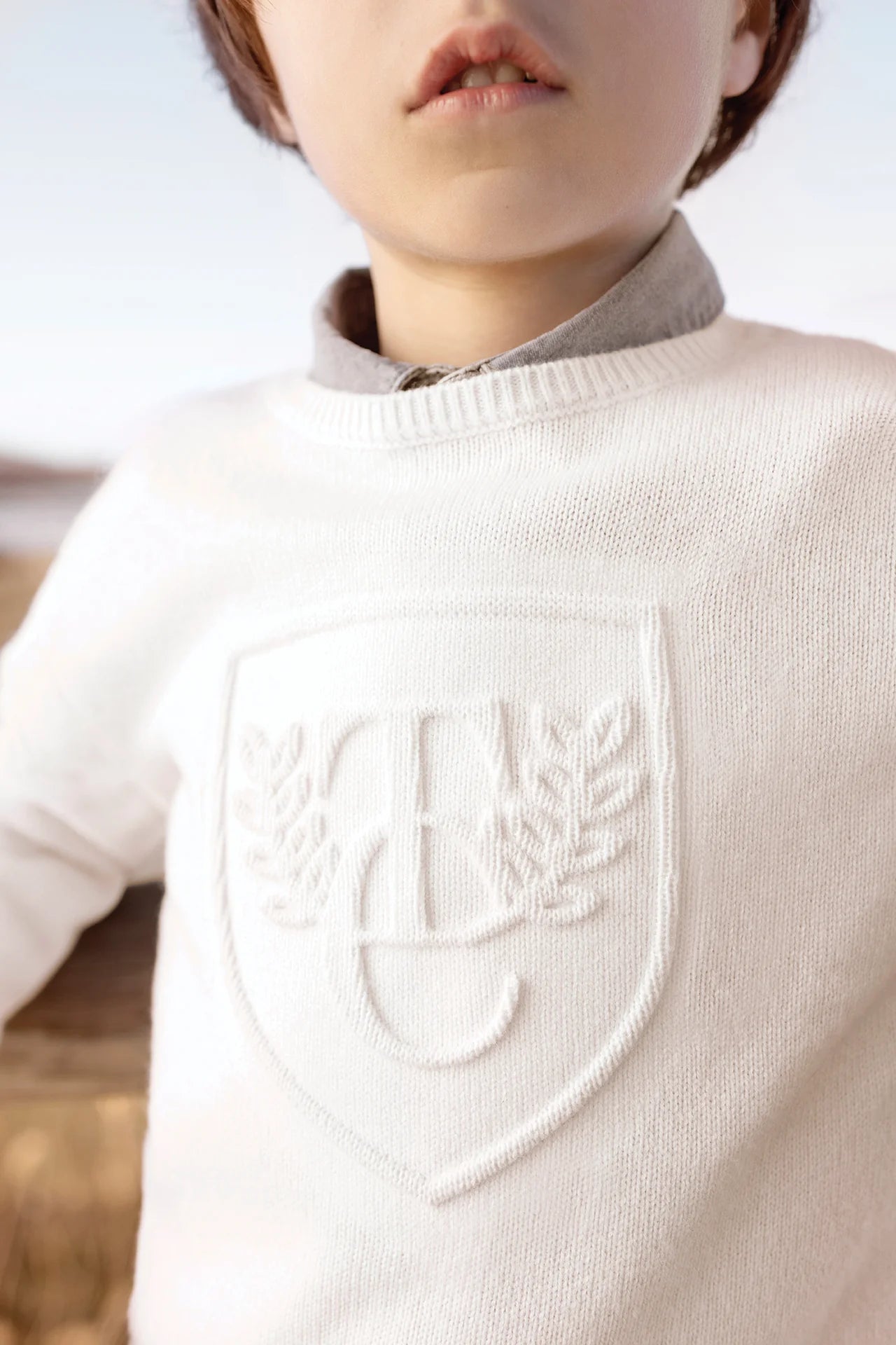 Tartine Boy's Pull Over Sweater