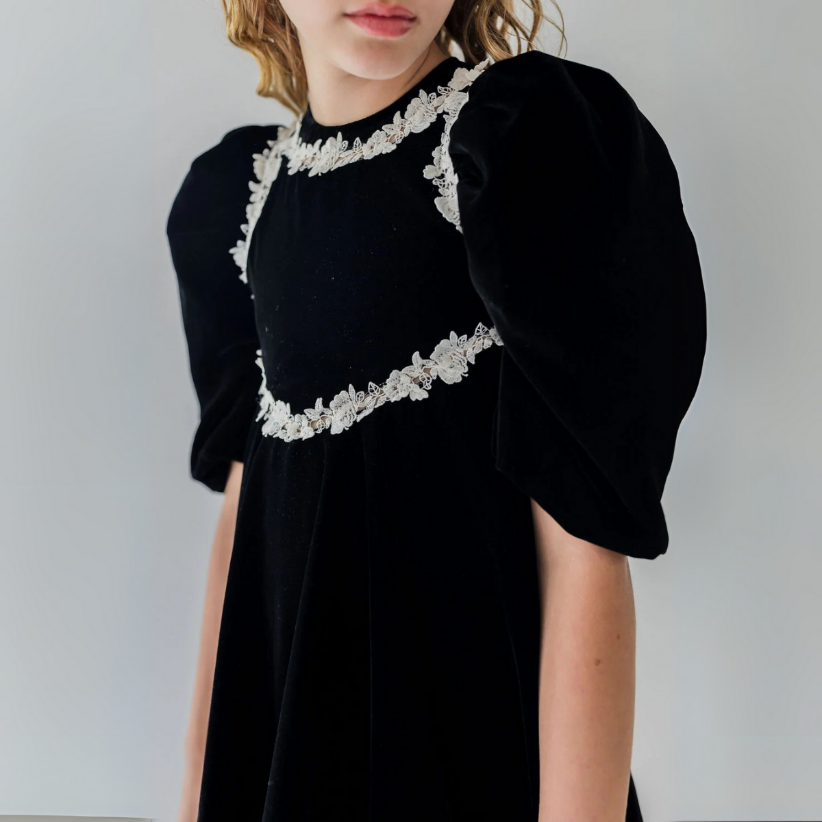 Petite Amalie Rose Lace Velvet Dress