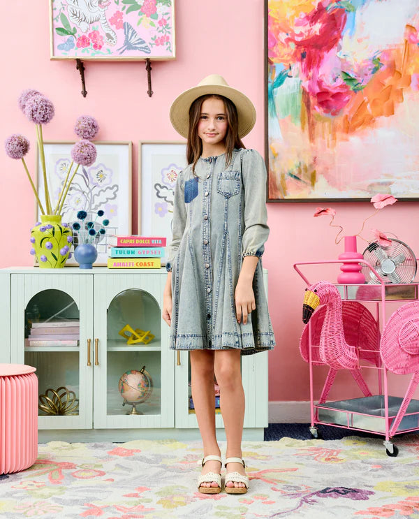 Porter Button Down Paneled Denim Dress 2123