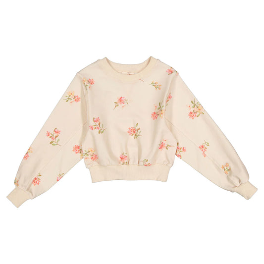 Steph LS Petite Rose Sweat Top & Skirt Outfit