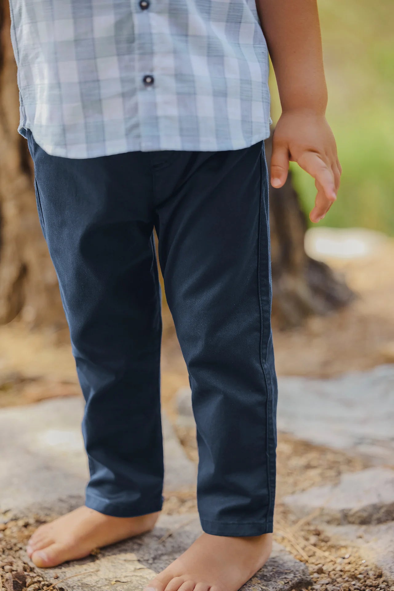 Tartine Boy's Cotton Pants