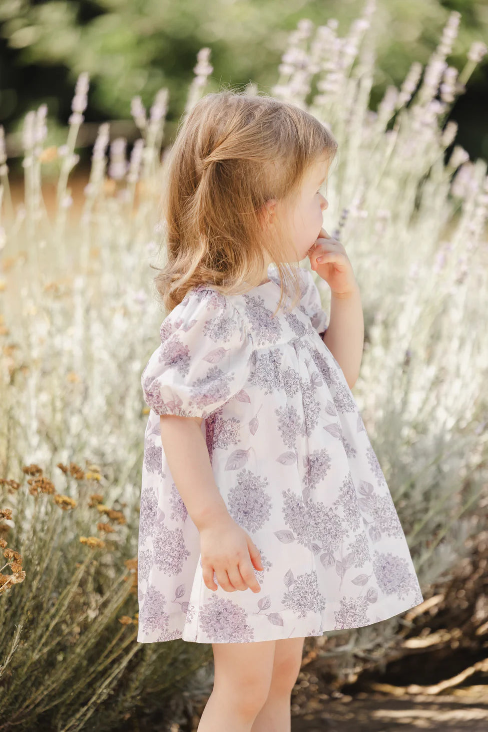 Tartine SS Violet Print Dress