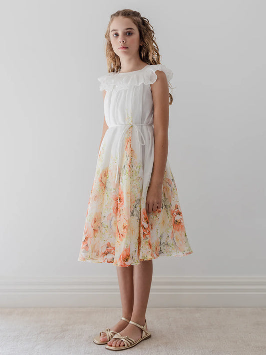 Petite Amalie Lemon Floral Border Linen Dress