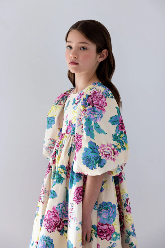 Petite Amalie Jewel Print Poplin Dress