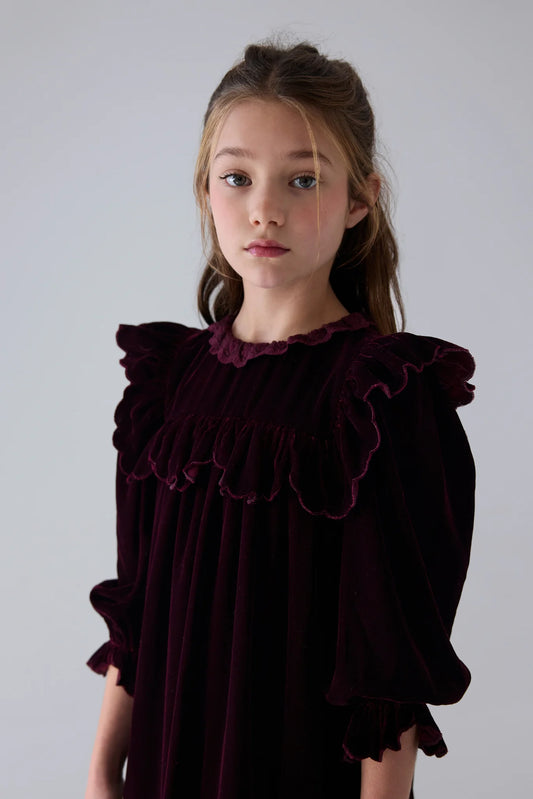 Petite Amalie Lace Trim Velvet Dress