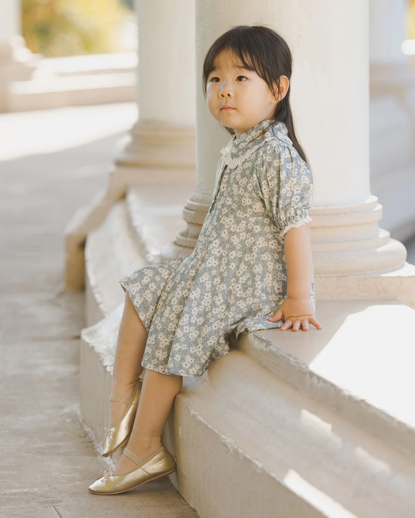 Noralee Sara Dress