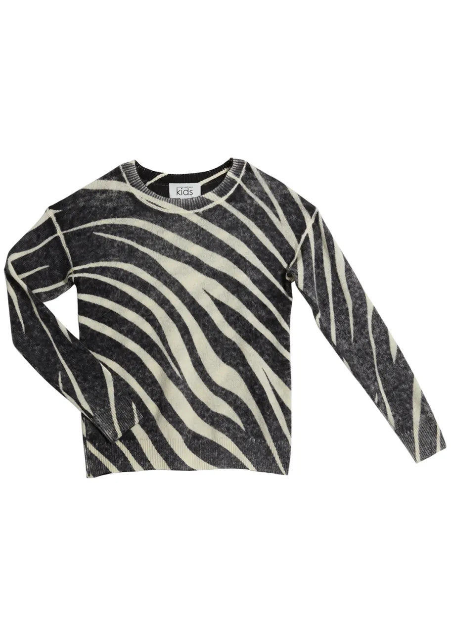 Autumn Cashmere Zebra Sweater