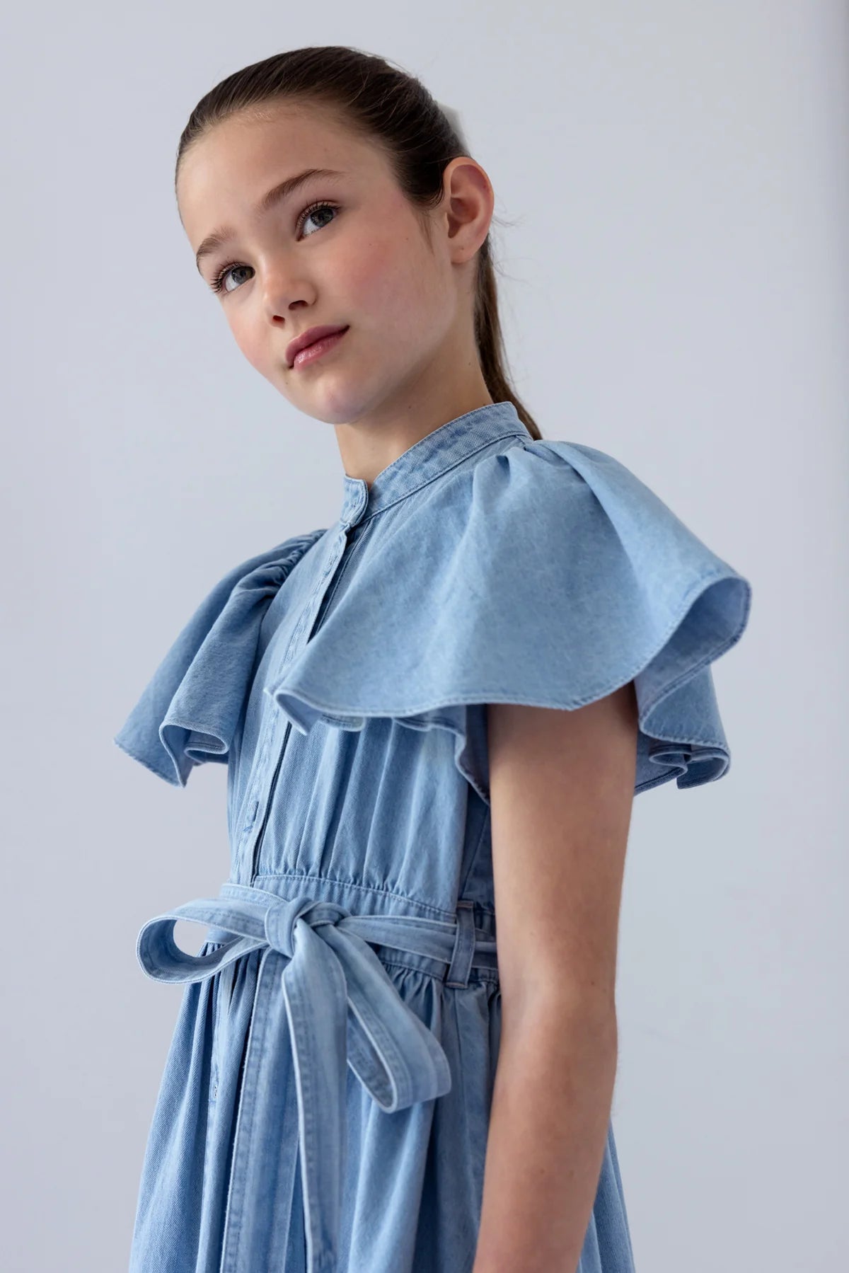 Steph Garden Chambray Flutter Sleeve Shirt Dress