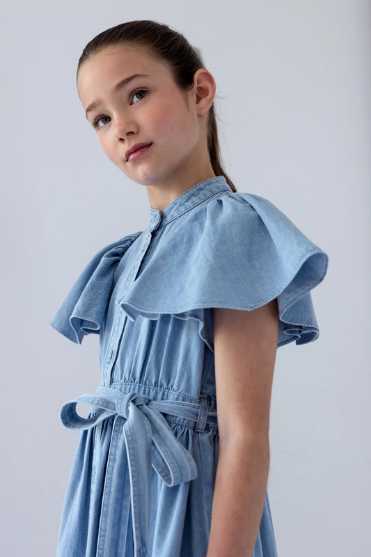Steph Garden Chambray Flutter Sleeve Shirt Dress