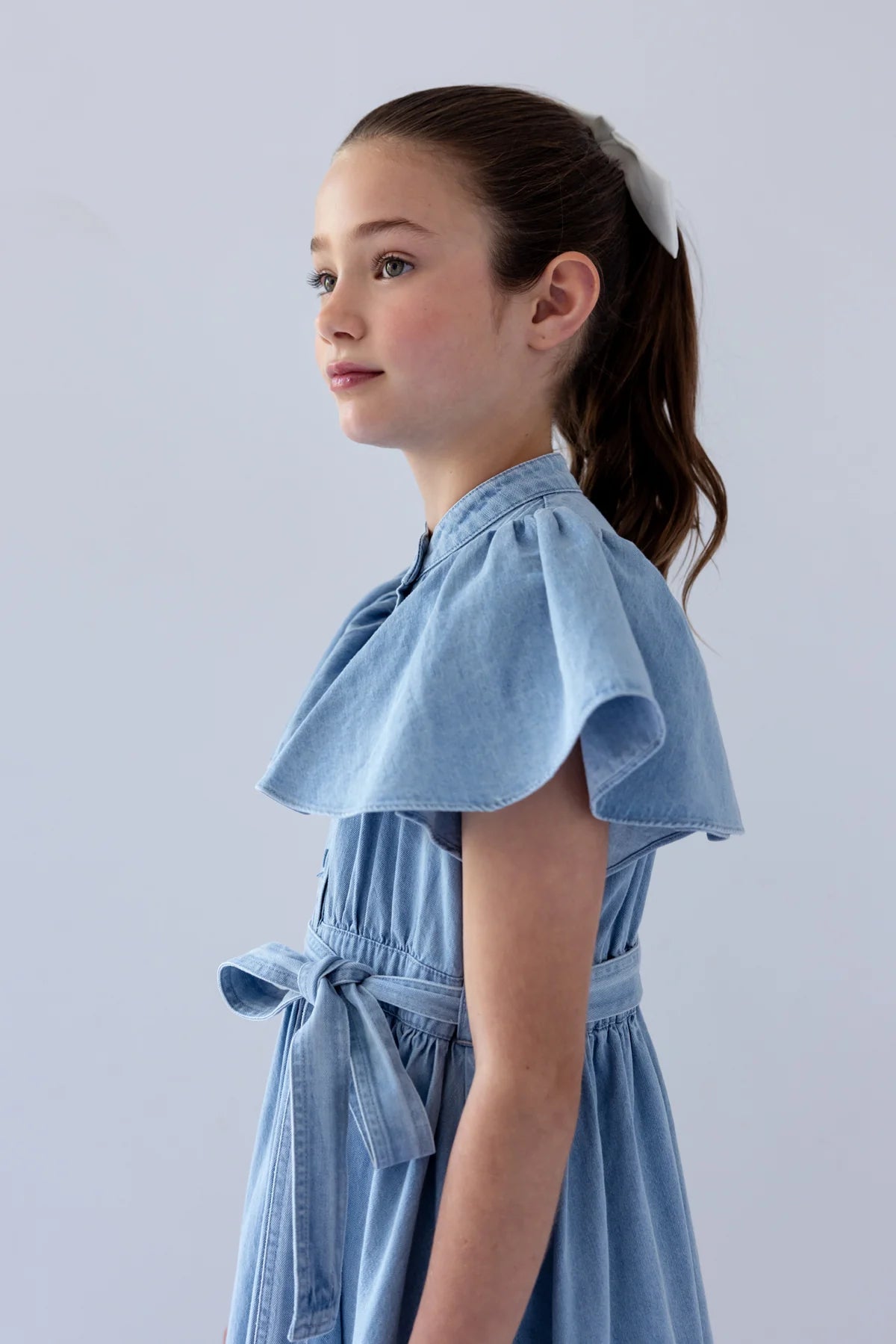 Steph Garden Chambray Flutter Sleeve Shirt Dress