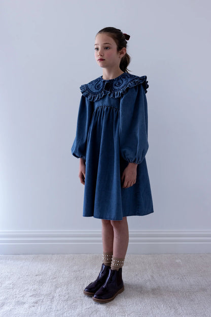 Steph Embro Collar Chambray Dress