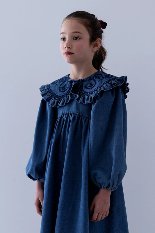 Steph Embro Collar Chambray Dress