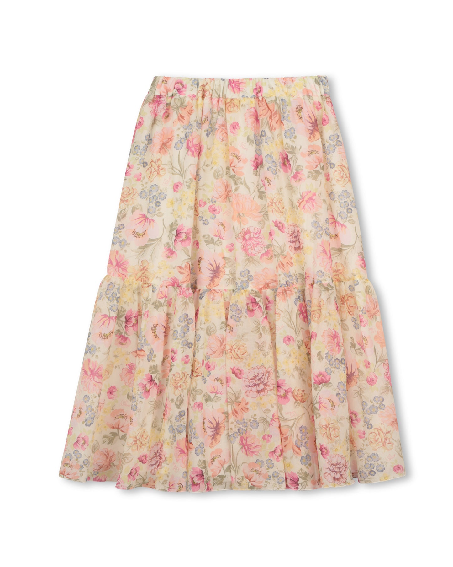 Chloe Floral Print Maxi Skirt