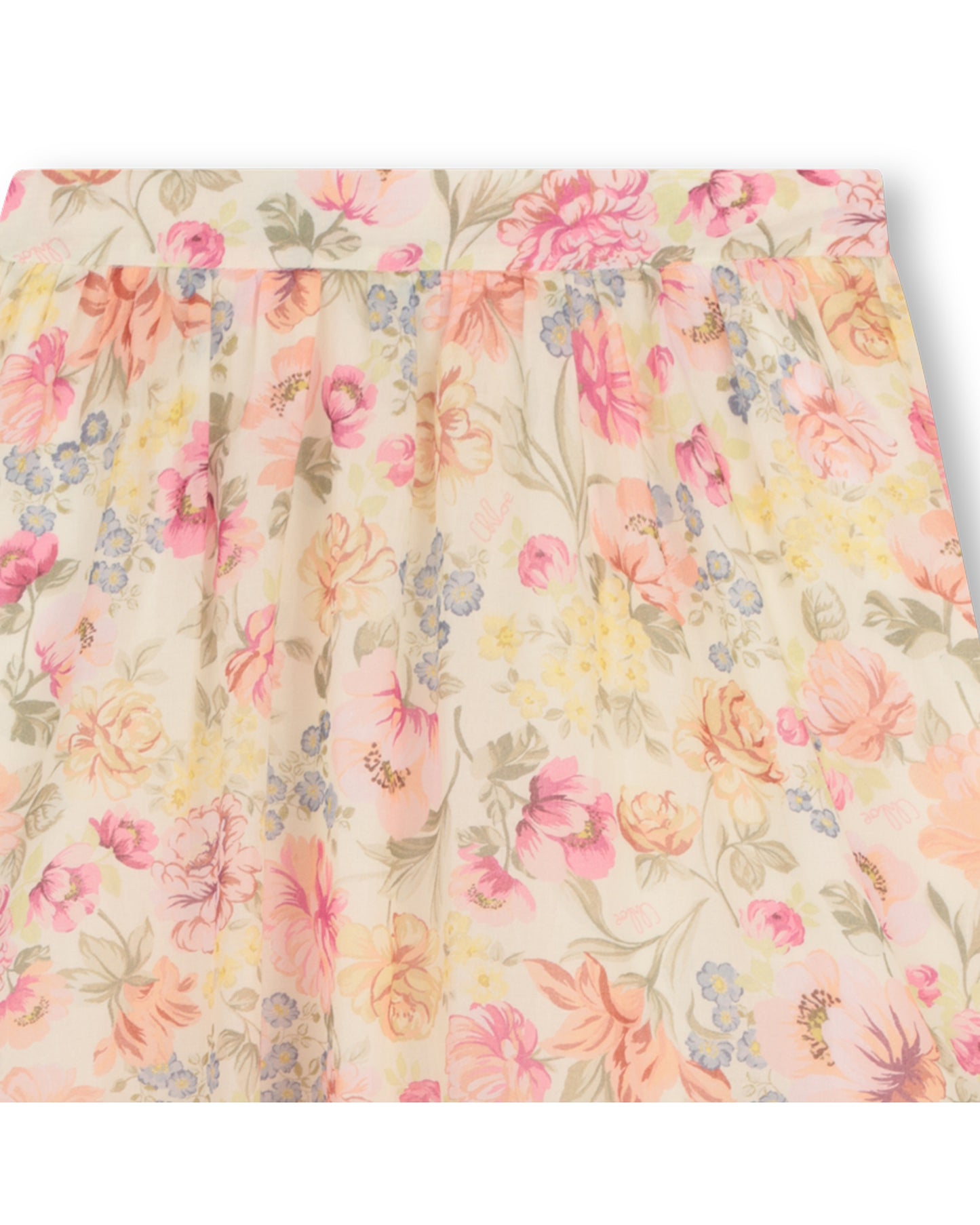Chloe Floral Print Maxi Skirt
