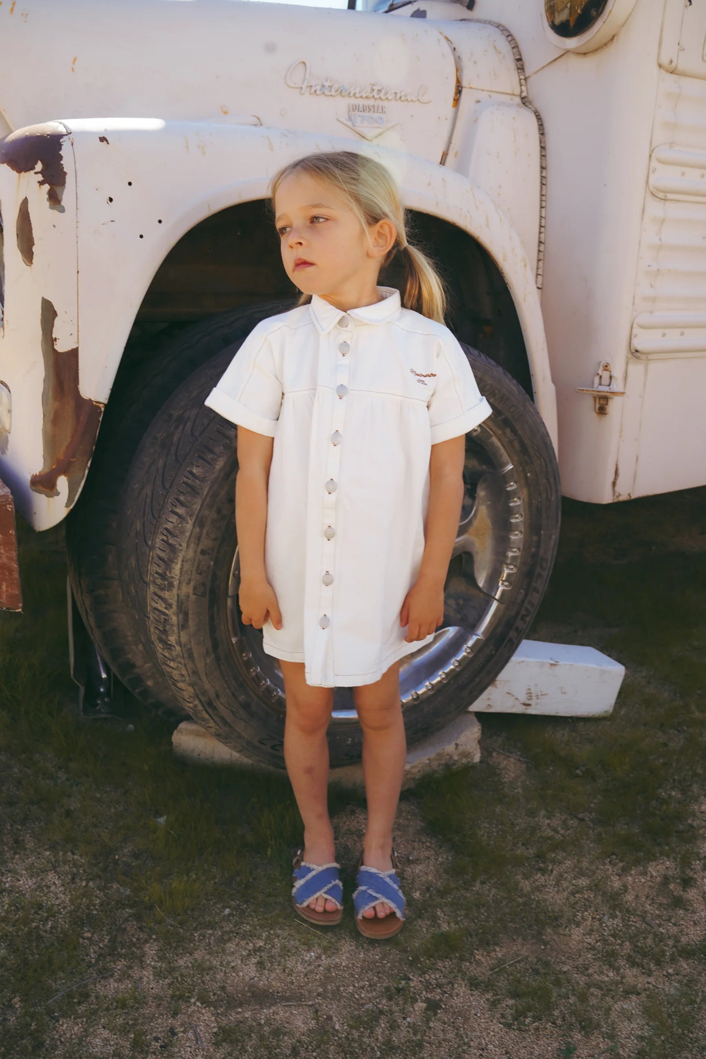 Coco Denim Button Up Dress