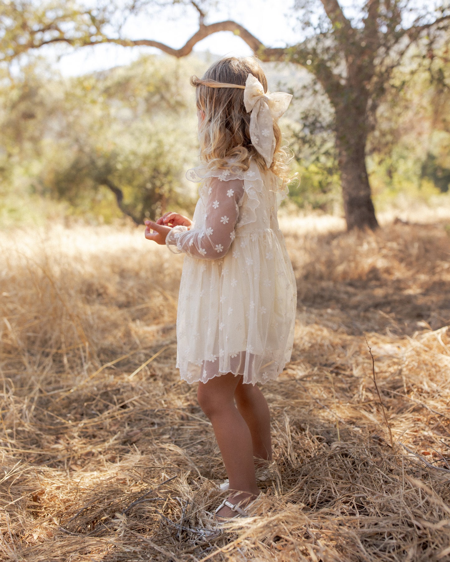 Noralee Celine Dress