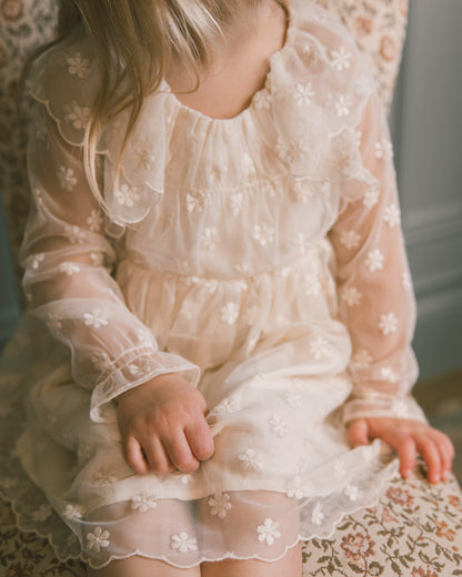 Noralee Celine Dress