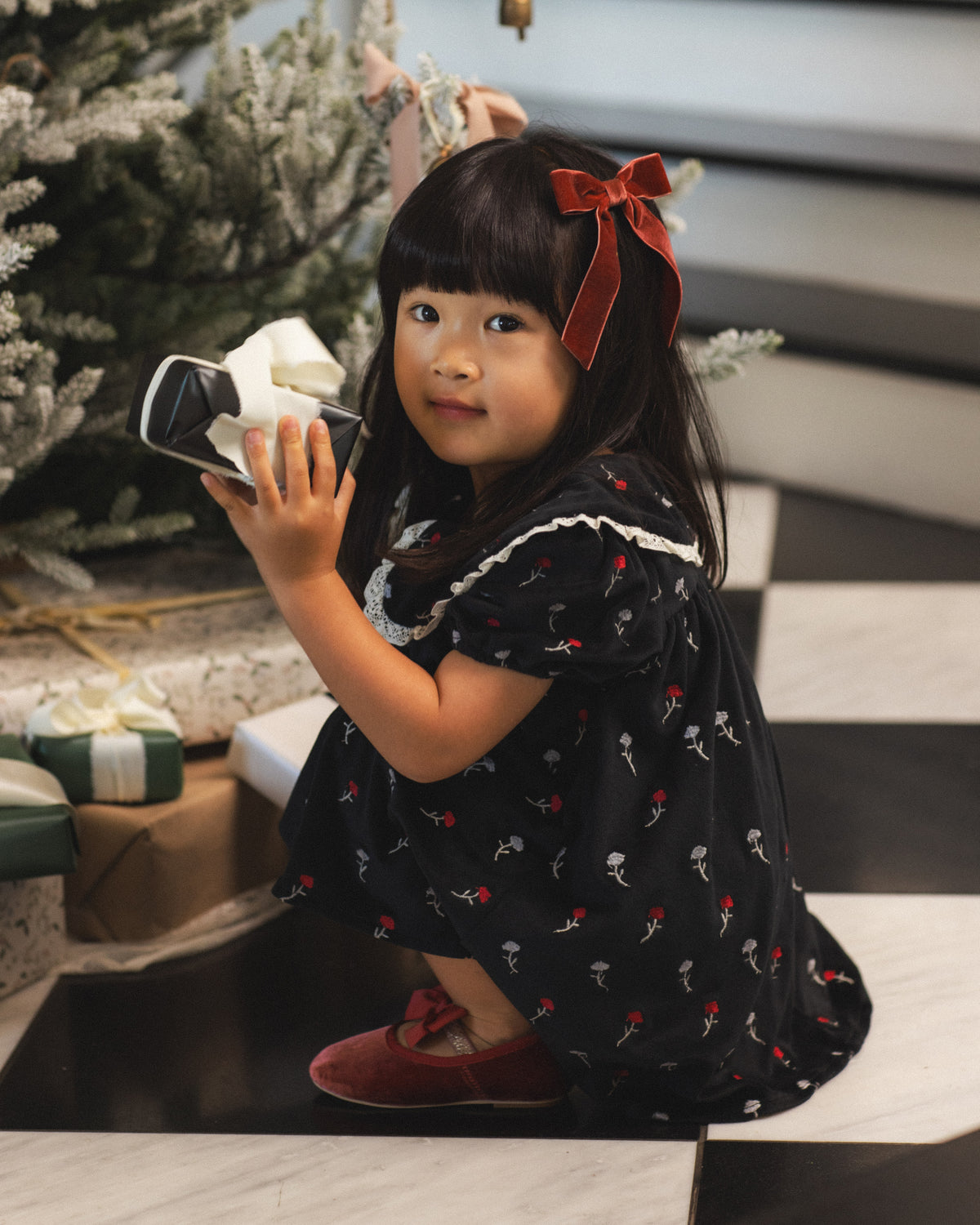 Noralee Janette Dress
