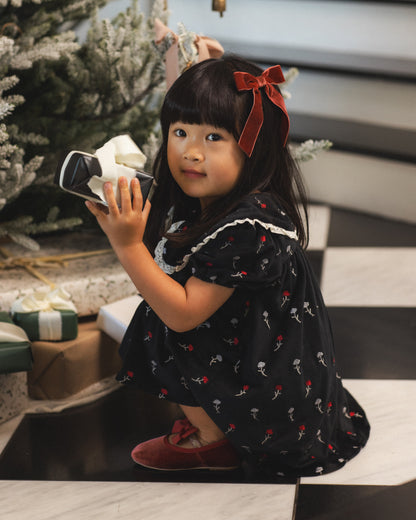 Noralee Janette Dress
