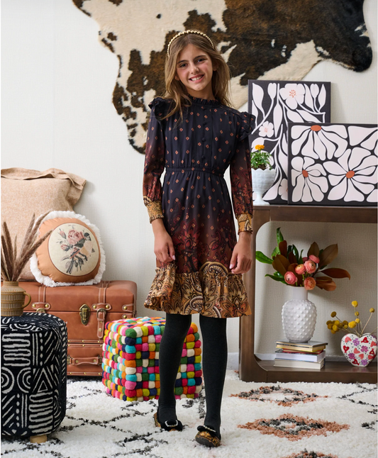 Porter Paisley Print Ombre Dress 2255