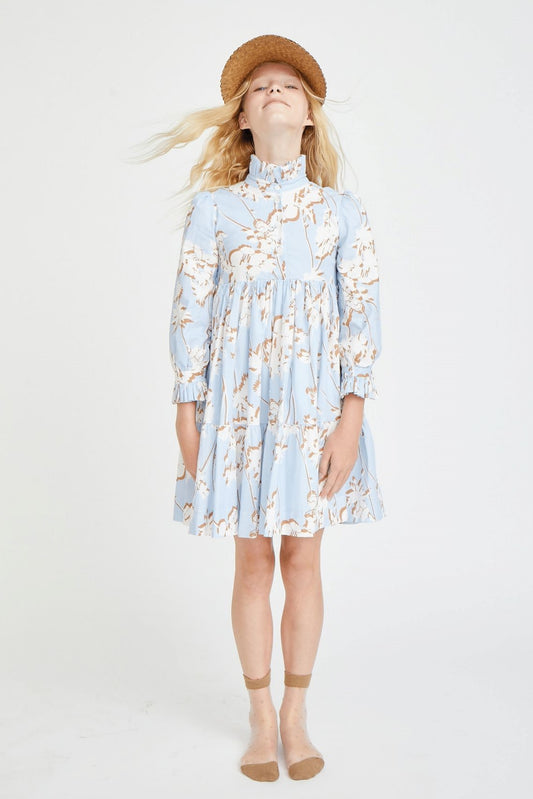 Porter Floral & Ruffled Collar Dress