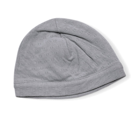 Tane - TuesdaysChild.com