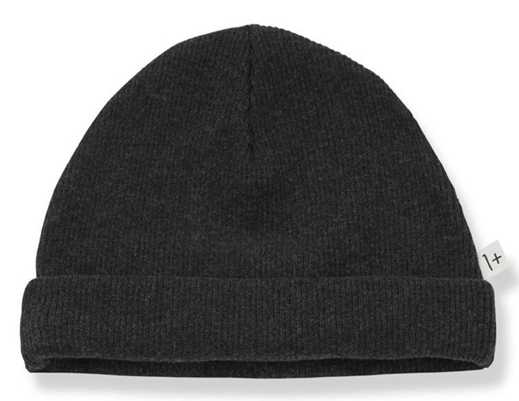 One + In the Family Ivo Beanie