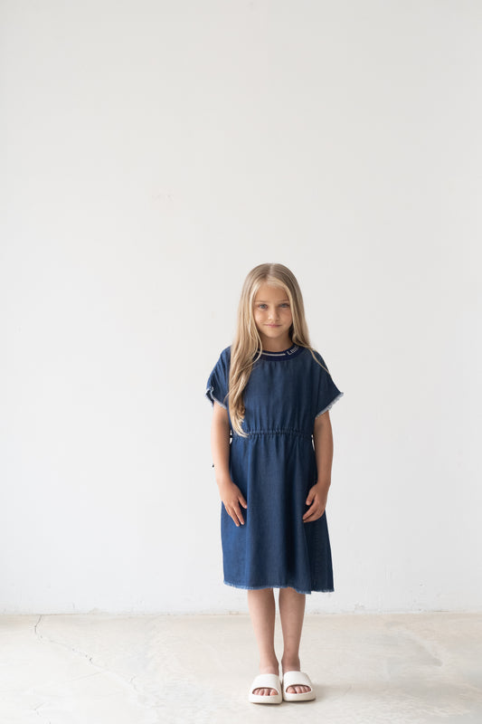 LMN3 SS Chambray Dress