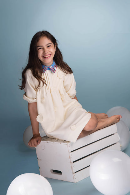 Paisley Collar Dress